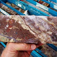 Gold likes to live here; sedimentary host rock with large quartz veins displaying bladed textures and oxide mineralization. Akarca gold-silver project, western Turkey