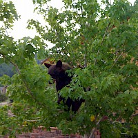 Visitor to the Colorado office, June 2010