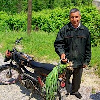 Local villager shows off his wild onions, Akarca, Turkey