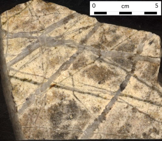 Polished slab of quartz-K-feldspar and quartz-muscovite veins from root zone of Copper Springs center.
