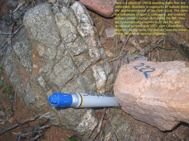 Quartz-carbonate-sulfide (mostly pyrite) veins with anomalous Pb, Zn, and Cu are widespread across the property position.
