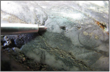 Cu-Mo mineralization in quartz veins intersected during the initial drilling program.