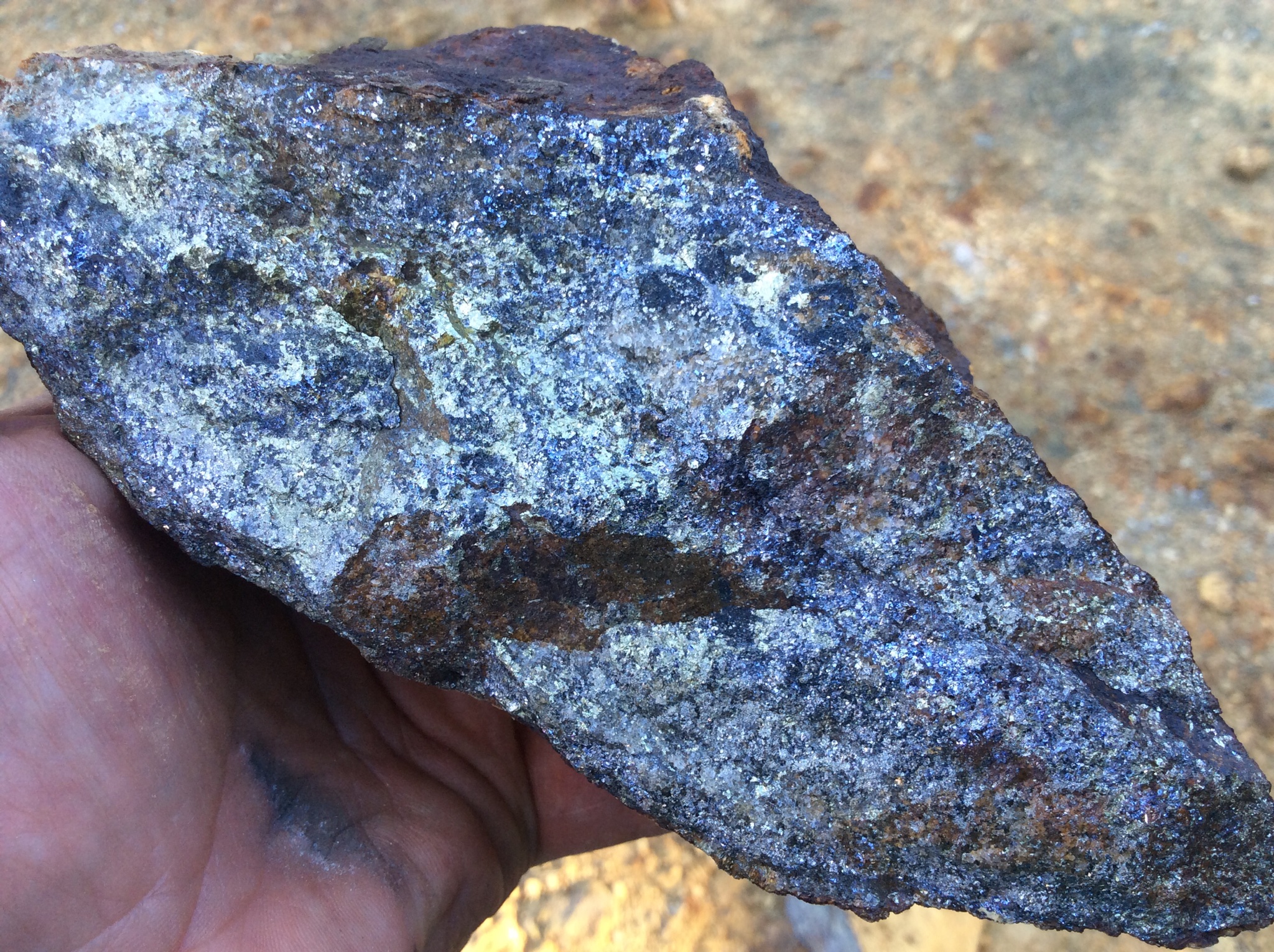Banded sphalerite-galena-chalcopyrite and pyrrhotite